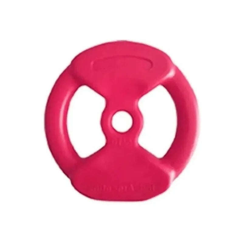 Par De Discos De Fitness De Pvc - 1 Kg c/u